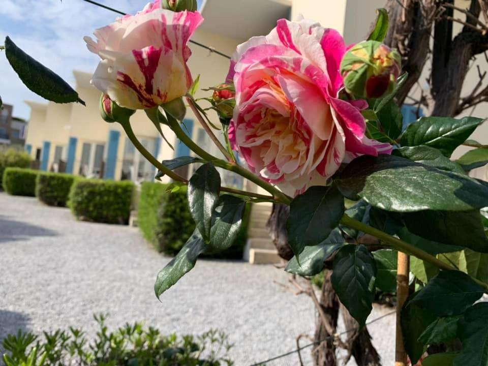 Hotel l'Etape Villeneuve-Loubet Extérieur photo